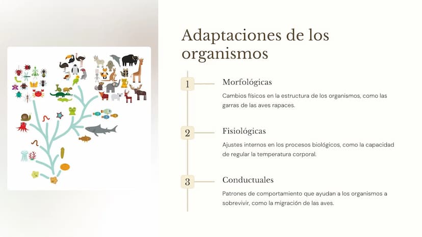 la ecología
La ecología es la ciencia que estudia las interacciones entre los
organismos y su entorno. Comprender los factores bióticos y
ab