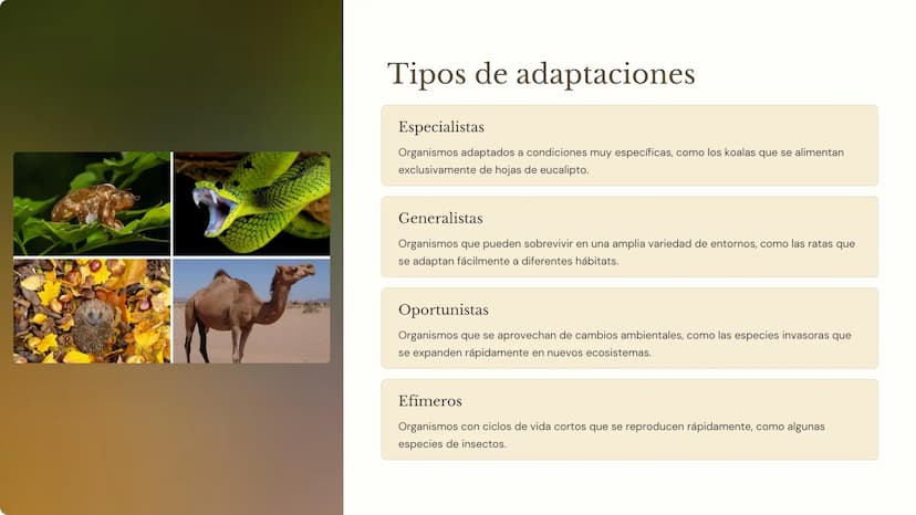 la ecología
La ecología es la ciencia que estudia las interacciones entre los
organismos y su entorno. Comprender los factores bióticos y
ab