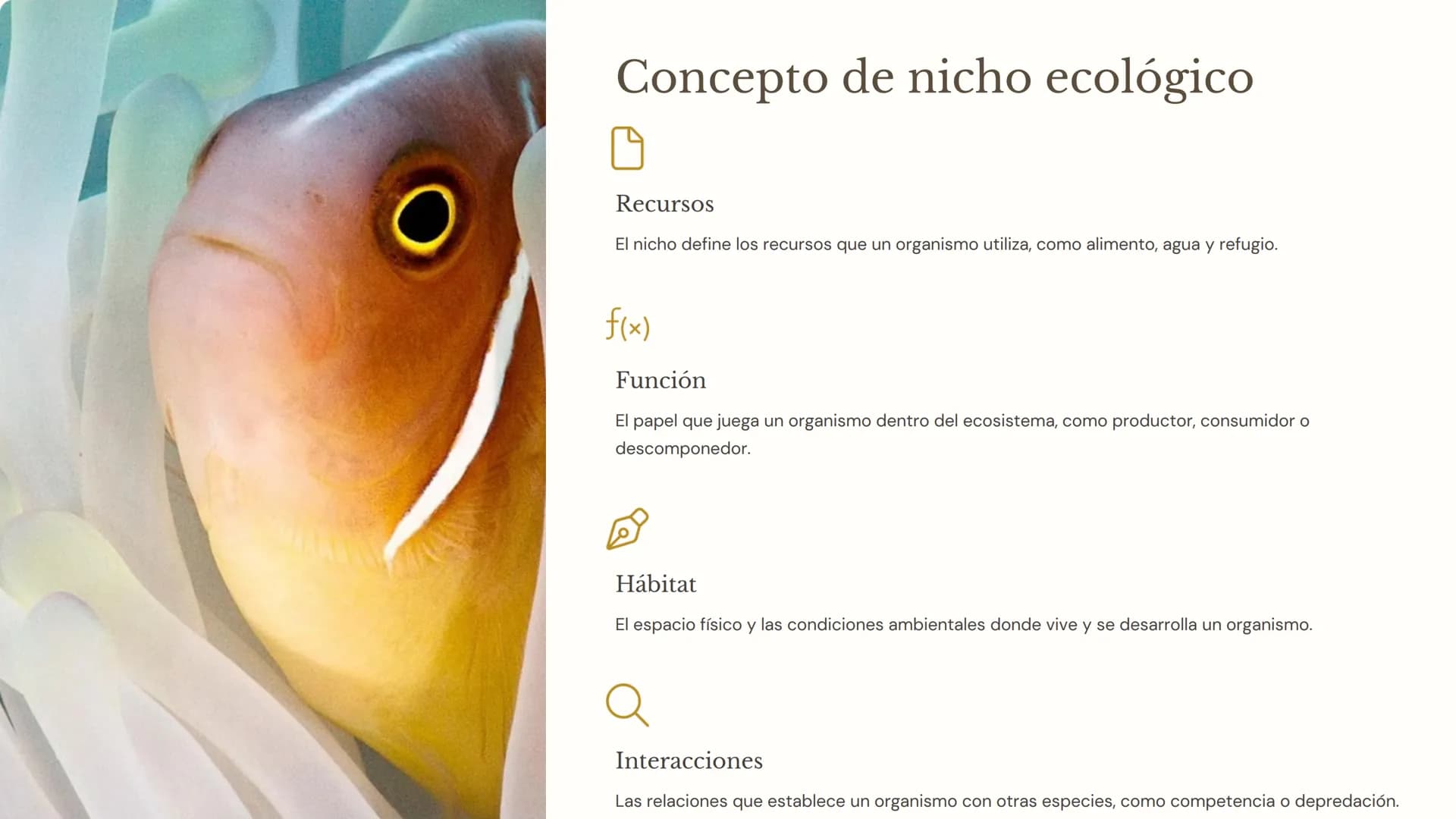 la ecología
La ecología es la ciencia que estudia las interacciones entre los
organismos y su entorno. Comprender los factores bióticos y
ab