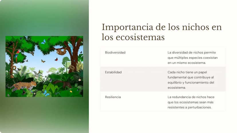 la ecología
La ecología es la ciencia que estudia las interacciones entre los
organismos y su entorno. Comprender los factores bióticos y
ab