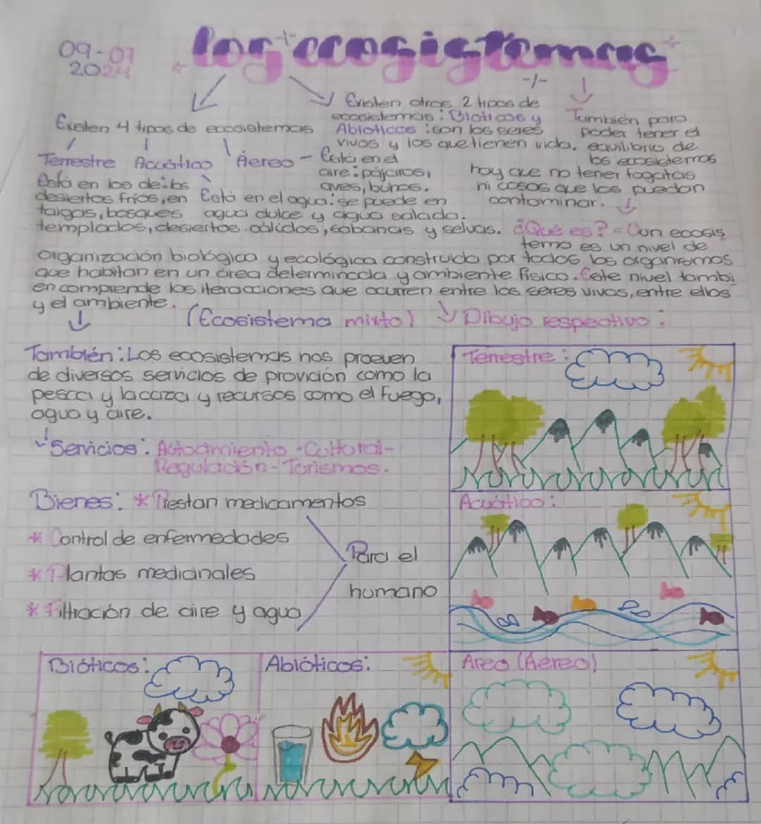 09-07
2024
log ecosistemas
K
Tumbién para
Poder tener el
Existen otros 2 tipos de
ecosistemas: Bioticos y
Abioticos son los seres
Vivos y lo