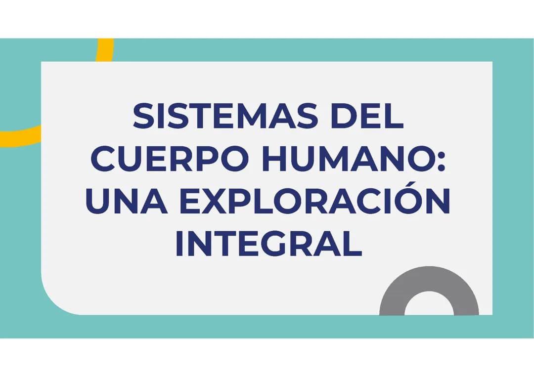 Sistemas del cuerpo humano