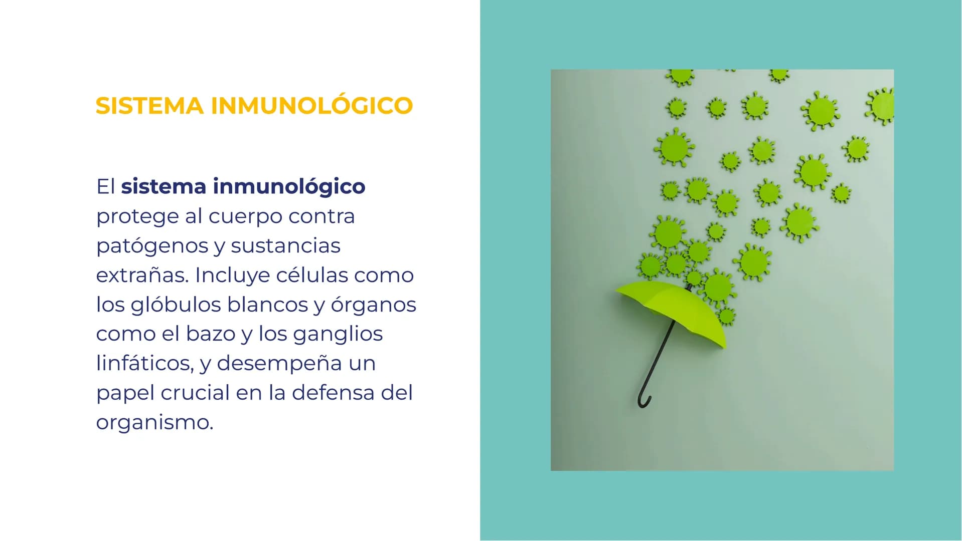 SISTEMAS DEL
CUERPO HUMANO:
UNA EXPLORACIÓN
INTEGRAL INTRODUCCIÓN
Bienvenidos a esta exploración
integral de los sistemas del
cuerpo humano.