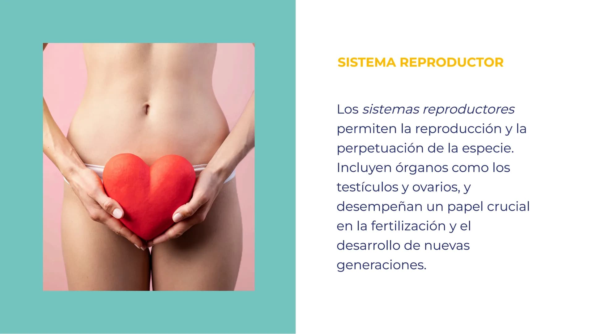 SISTEMAS DEL
CUERPO HUMANO:
UNA EXPLORACIÓN
INTEGRAL INTRODUCCIÓN
Bienvenidos a esta exploración
integral de los sistemas del
cuerpo humano.