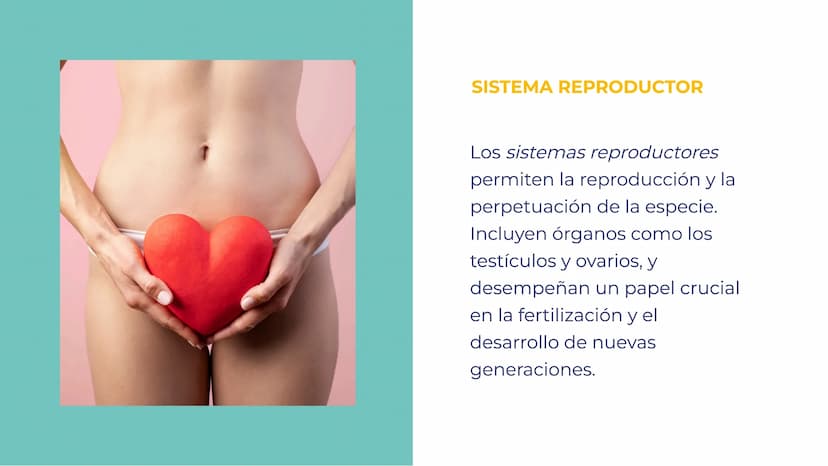 SISTEMAS DEL
CUERPO HUMANO:
UNA EXPLORACIÓN
INTEGRAL INTRODUCCIÓN
Bienvenidos a esta exploración
integral de los sistemas del
cuerpo humano.