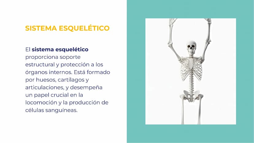 SISTEMAS DEL
CUERPO HUMANO:
UNA EXPLORACIÓN
INTEGRAL INTRODUCCIÓN
Bienvenidos a esta exploración
integral de los sistemas del
cuerpo humano.