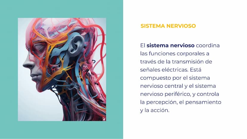 SISTEMAS DEL
CUERPO HUMANO:
UNA EXPLORACIÓN
INTEGRAL INTRODUCCIÓN
Bienvenidos a esta exploración
integral de los sistemas del
cuerpo humano.