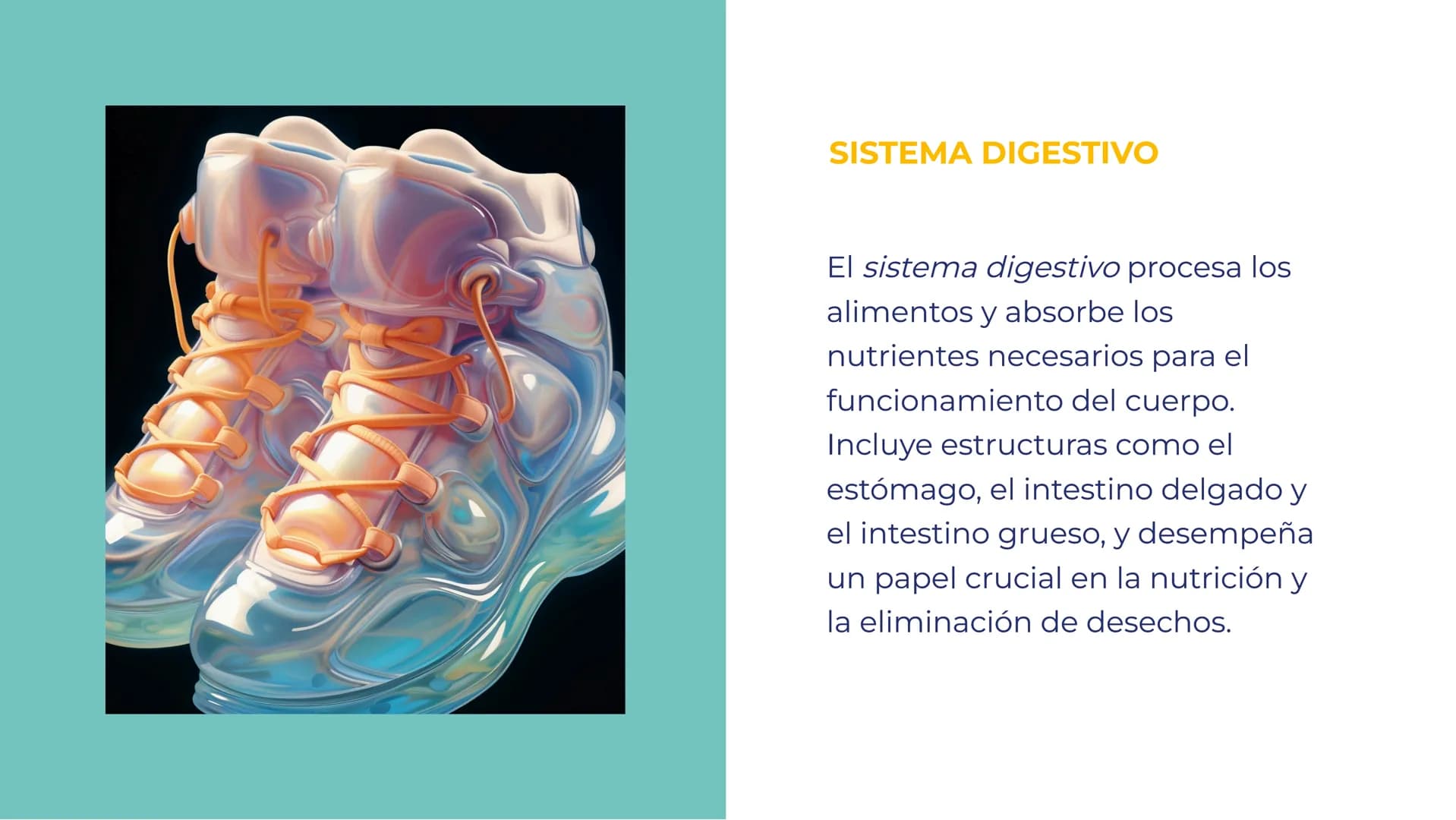 SISTEMAS DEL
CUERPO HUMANO:
UNA EXPLORACIÓN
INTEGRAL INTRODUCCIÓN
Bienvenidos a esta exploración
integral de los sistemas del
cuerpo humano.