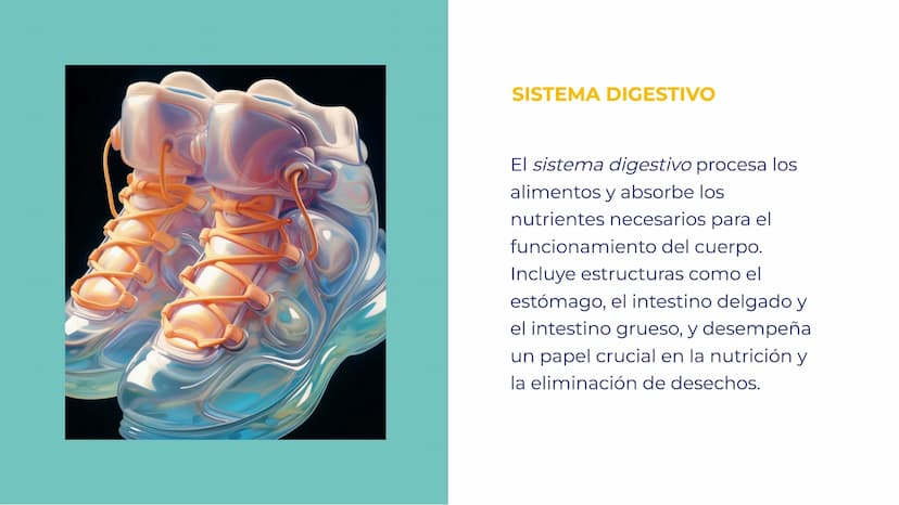 SISTEMAS DEL
CUERPO HUMANO:
UNA EXPLORACIÓN
INTEGRAL INTRODUCCIÓN
Bienvenidos a esta exploración
integral de los sistemas del
cuerpo humano.