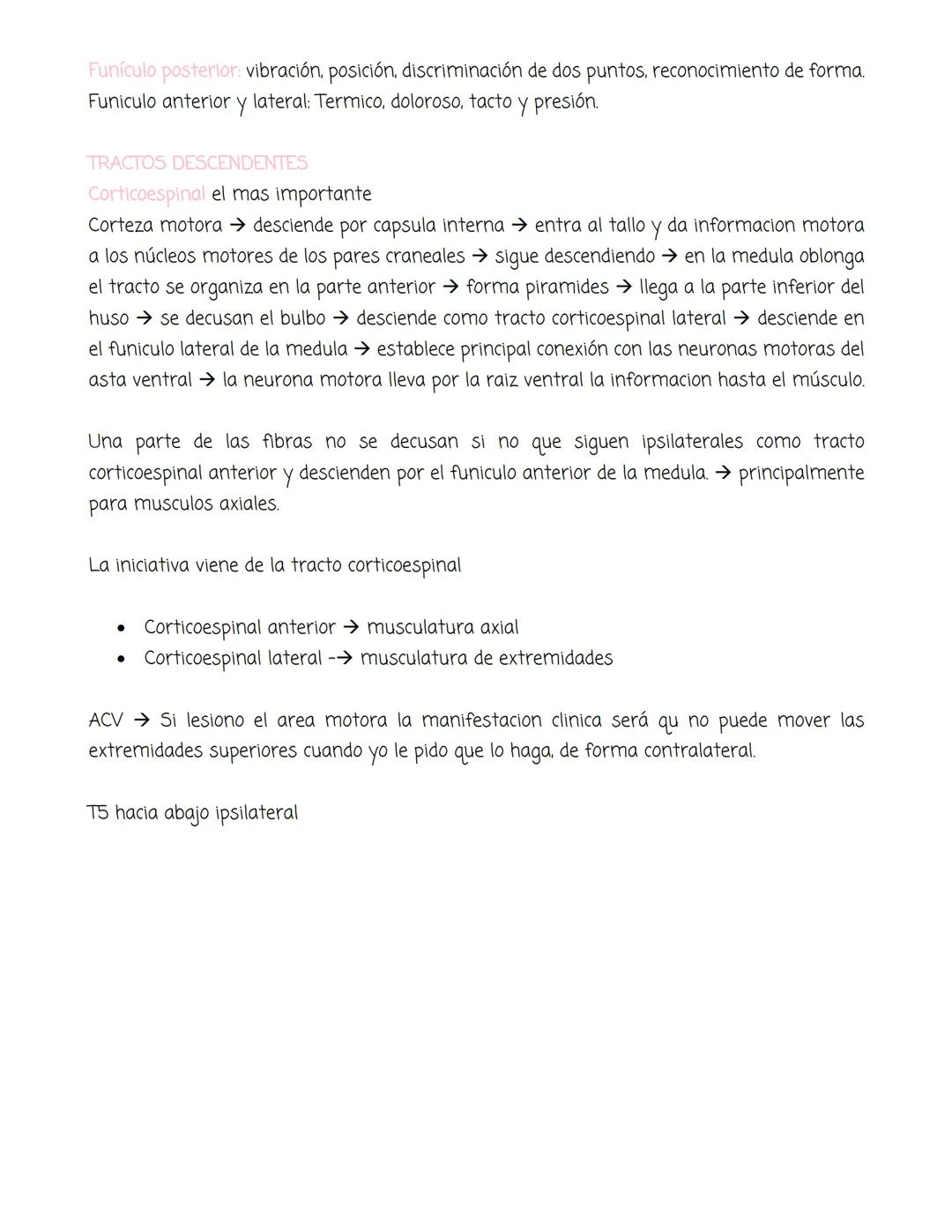medula
Tiene forma cilíndrica, se extiende entre las vertebras, tiene sustancia blanca
gris. La blanca en la periferia y la gris mas profund