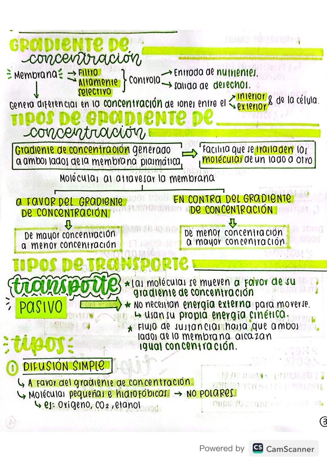 Biología grado 10 y 11 - Gradientes de Concentración y Tipos de Transporte Celular