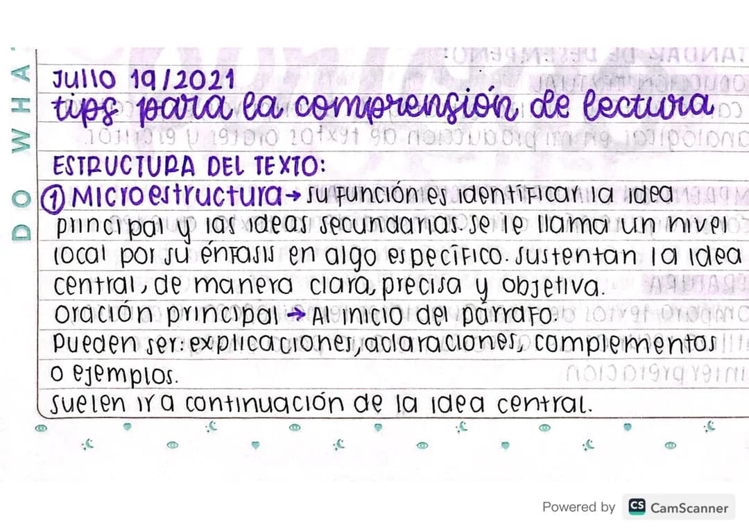 Lengua Castellana grado 10 y 11 - Comprensión Lectora