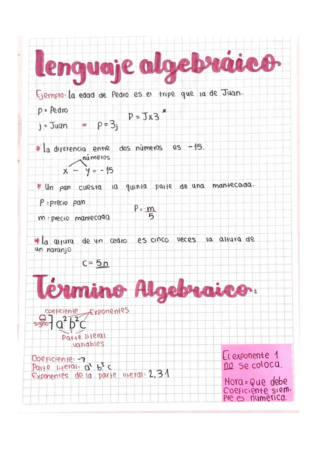 El lenguaje algebraico 
