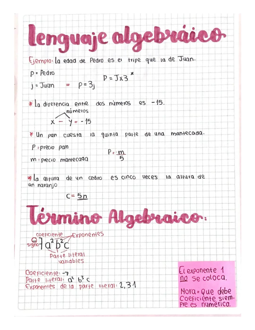 lenguaje algebraico
Ejemplo la edad de Pedro es el tripe que la de Juan.
P=Pedro
x
P=Jx3
j- Juan
=
P = 3₁
*La diferencia entre dos números
n