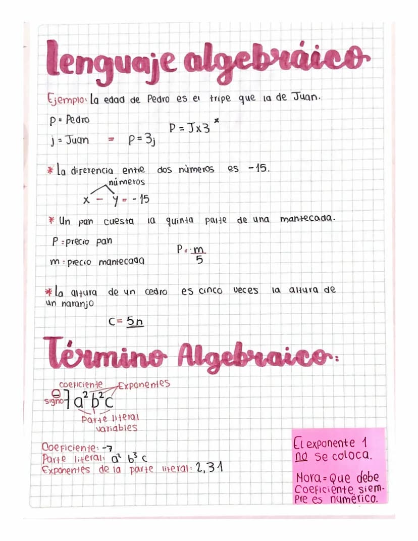 lenguaje algebraico
Ejemplo la edad de Pedro es el tripe que la de Juan.
P=Pedro
x
P=Jx3
j- Juan
=
P = 3₁
*La diferencia entre dos números
n