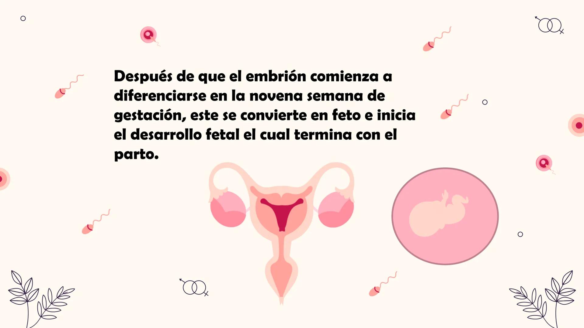 # Desarrollo:

Fetal

Integrantes: El desarrollo fetal
es el proceso en el
que un embrión o
feto humano se
gesta durante el
embarazo, desde 