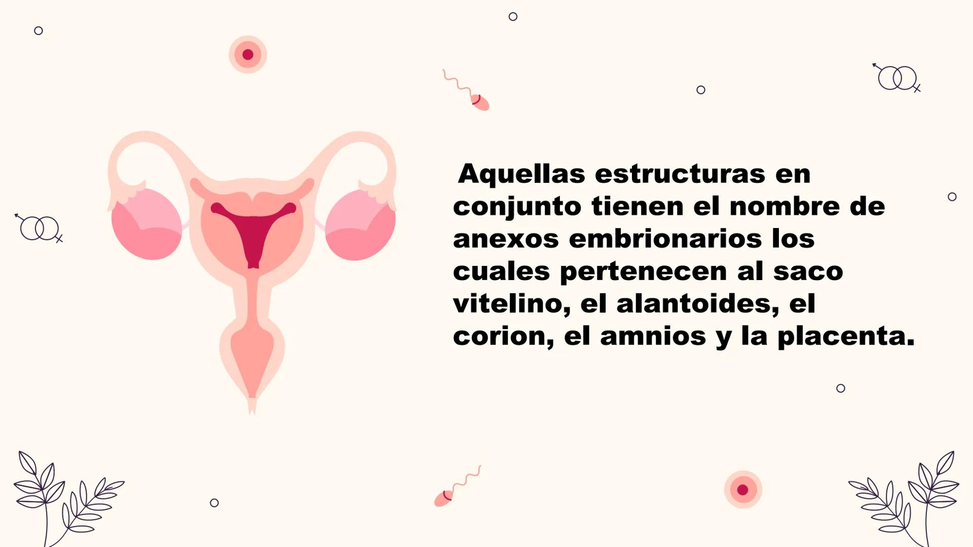 # Desarrollo:

Fetal

Integrantes: El desarrollo fetal
es el proceso en el
que un embrión o
feto humano se
gesta durante el
embarazo, desde 