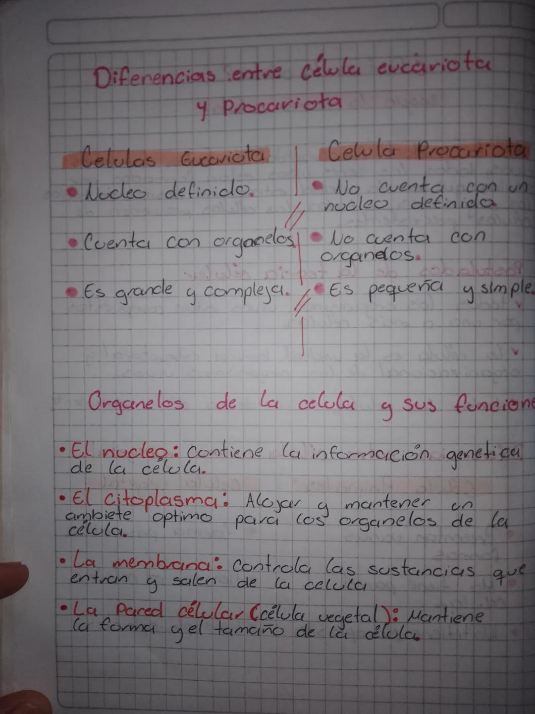 # ¿Qué es la celula?

## segun la teoria celular

Es la unidad fundamental de todos los seres
civos, todos los seres vivos estan formados po