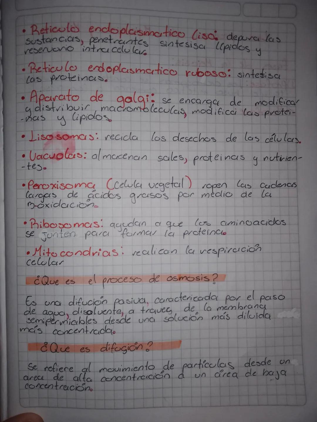 # ¿Qué es la celula?

## segun la teoria celular

Es la unidad fundamental de todos los seres
civos, todos los seres vivos estan formados po