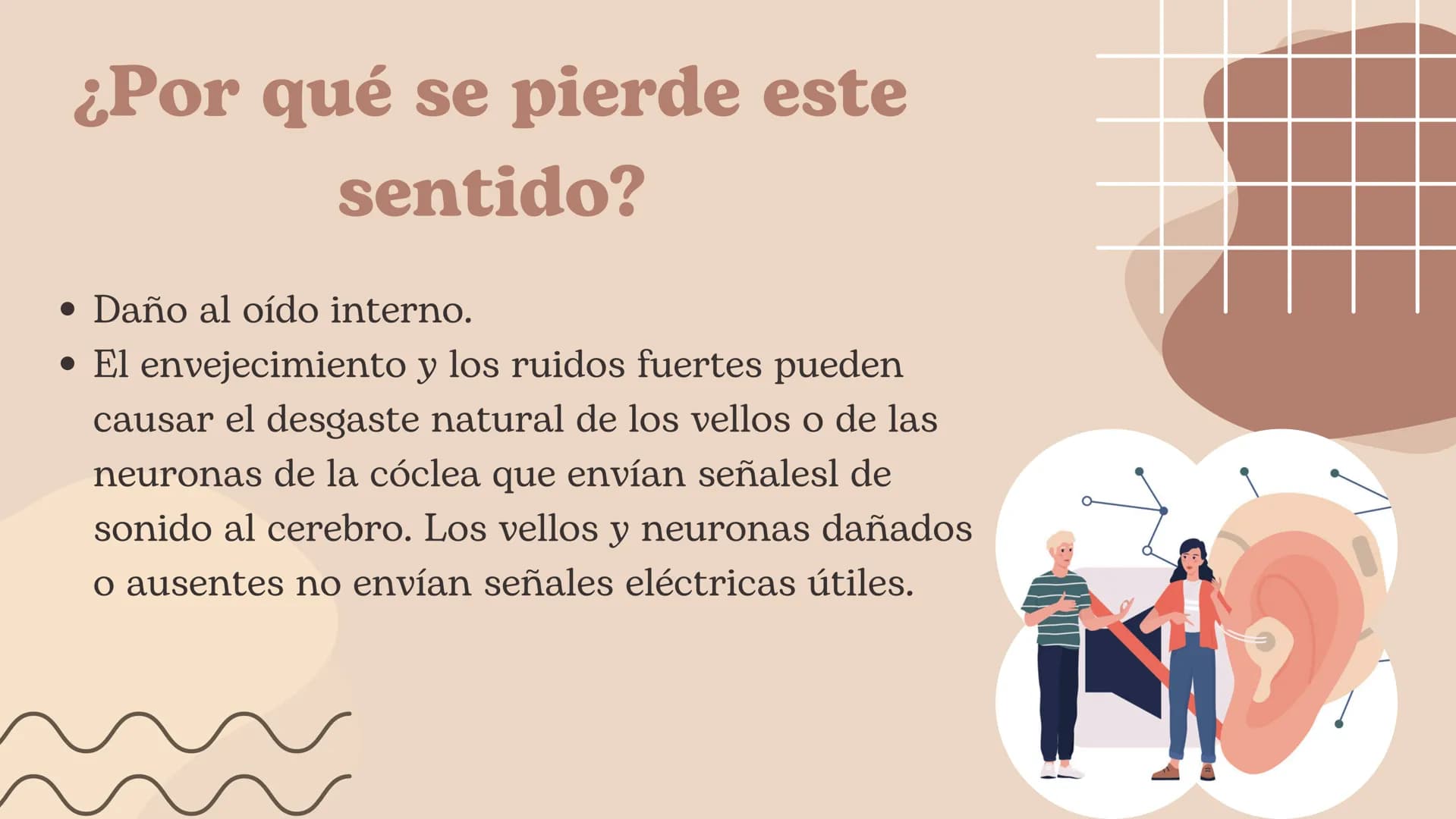 Discapacidad
Auditiva Hablaremos de:
• ¿Cuál es el sentido de audición?
• ¿Por qué se pierde este sentido?
. Adquirido o congénito
• Partes 