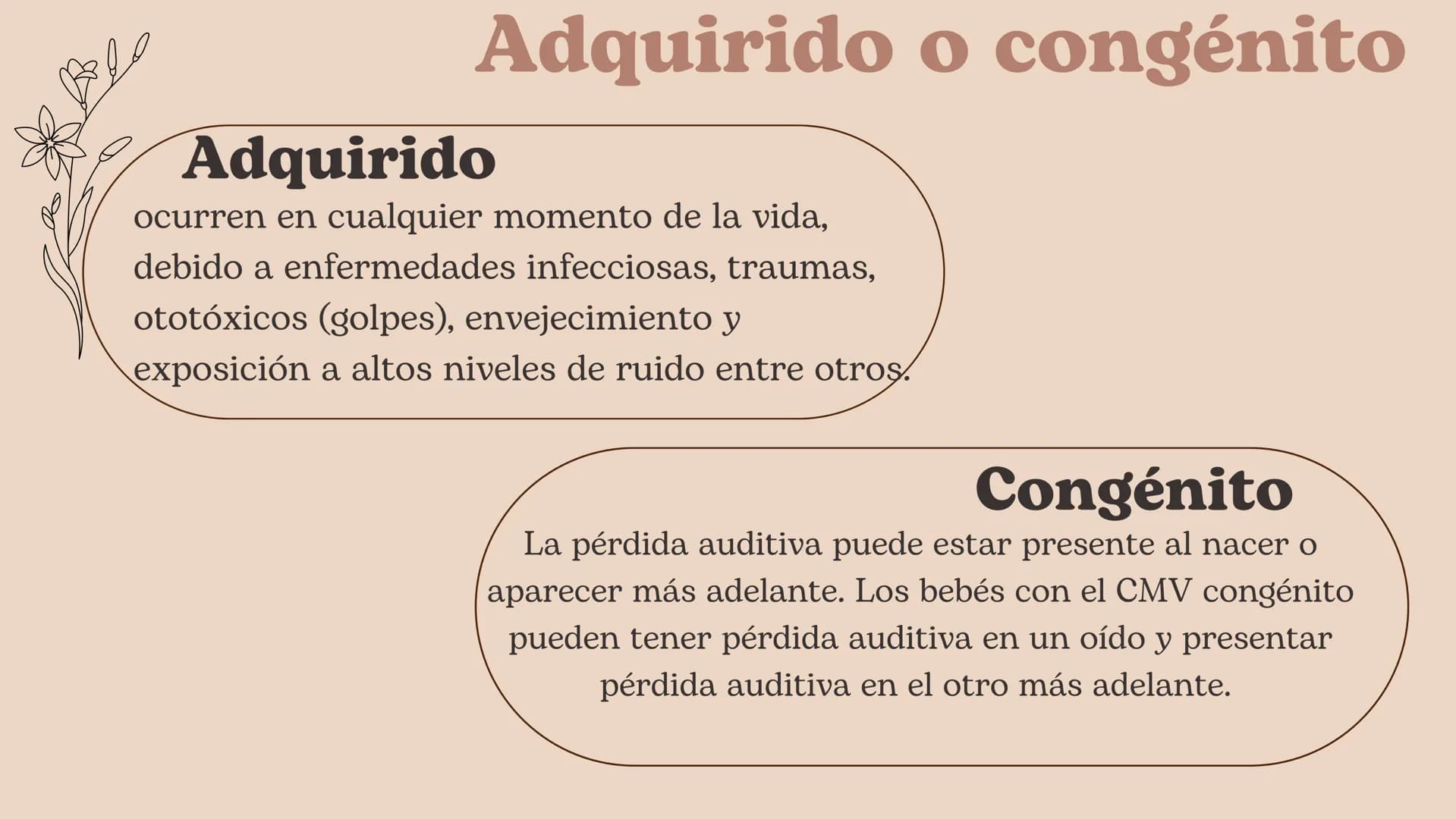 Discapacidad
Auditiva Hablaremos de:
• ¿Cuál es el sentido de audición?
• ¿Por qué se pierde este sentido?
. Adquirido o congénito
• Partes 