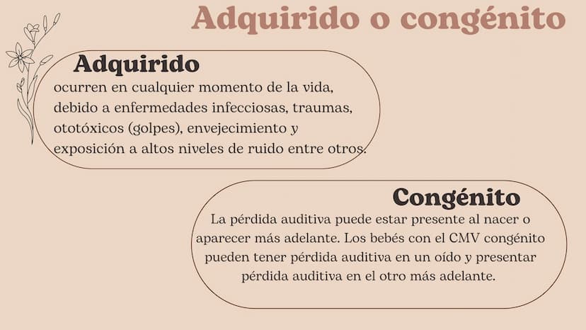 Discapacidad
Auditiva Hablaremos de:
• ¿Cuál es el sentido de audición?
• ¿Por qué se pierde este sentido?
. Adquirido o congénito
• Partes 