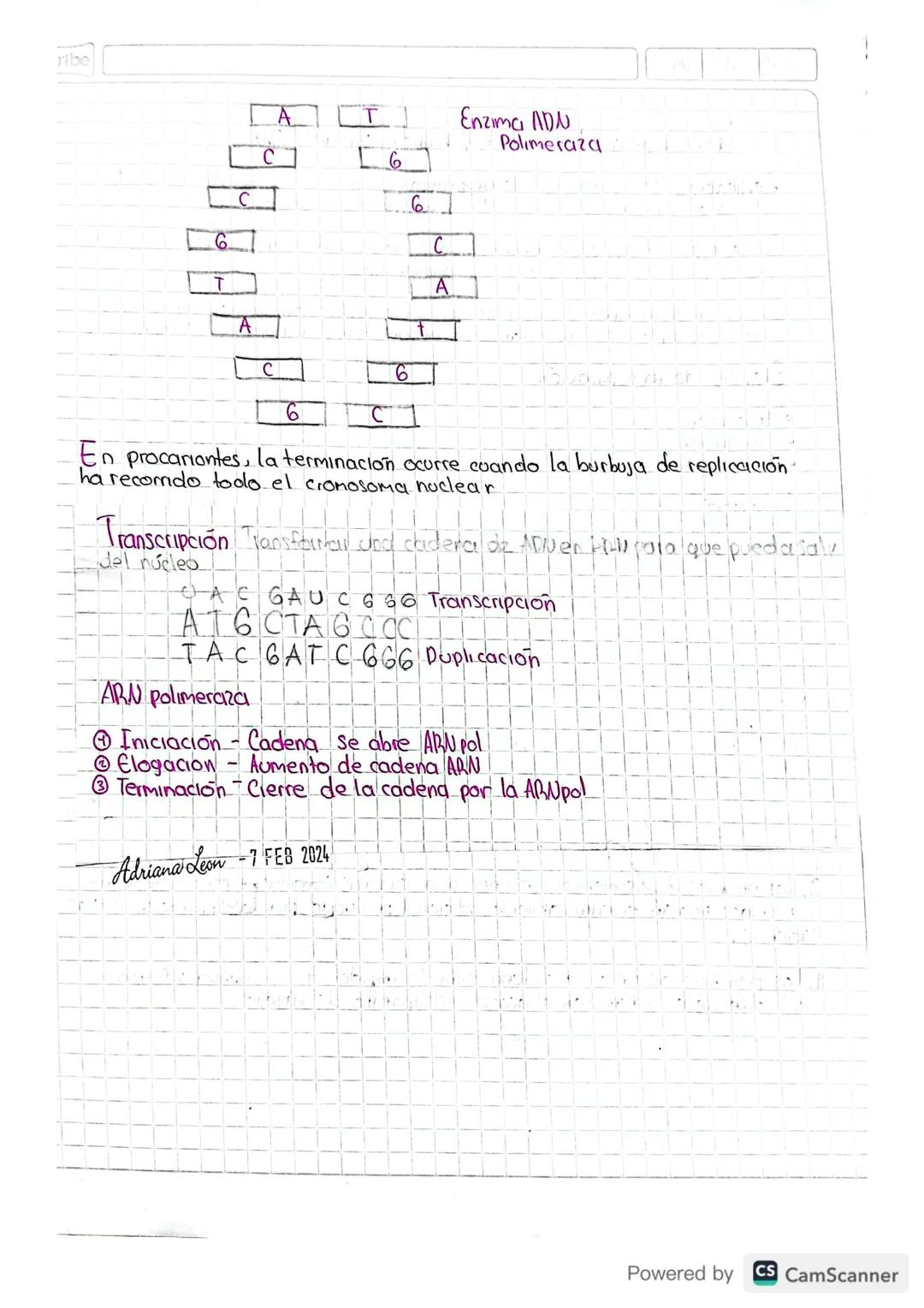 06 02 24
Scribe
# Transcripción, traducción y replicación del ADU

Replicación: Es el proceso de. copia de una molécula de ADN, que
resulta 