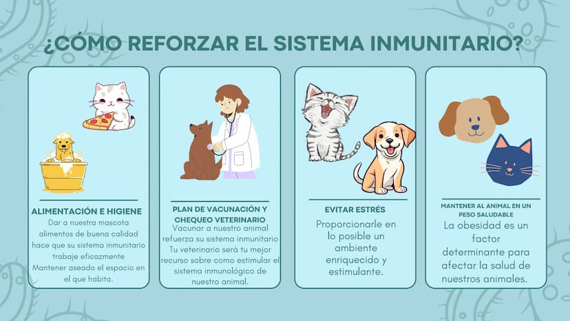 FUNCIÓN PRINCIPAL
•
Compuesto por células, tejidos y
proteínas.
• Reconocen y protegen.
• Detectan.
anticuerpos
ANTÍGENOS: Pueden ser
microo