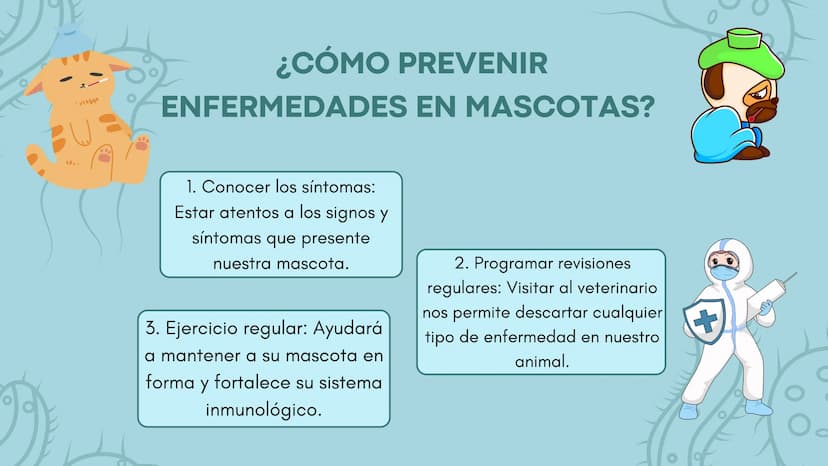 FUNCIÓN PRINCIPAL
•
Compuesto por células, tejidos y
proteínas.
• Reconocen y protegen.
• Detectan.
anticuerpos
ANTÍGENOS: Pueden ser
microo