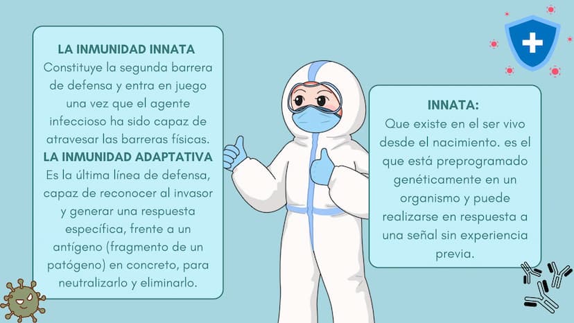 FUNCIÓN PRINCIPAL
•
Compuesto por células, tejidos y
proteínas.
• Reconocen y protegen.
• Detectan.
anticuerpos
ANTÍGENOS: Pueden ser
microo