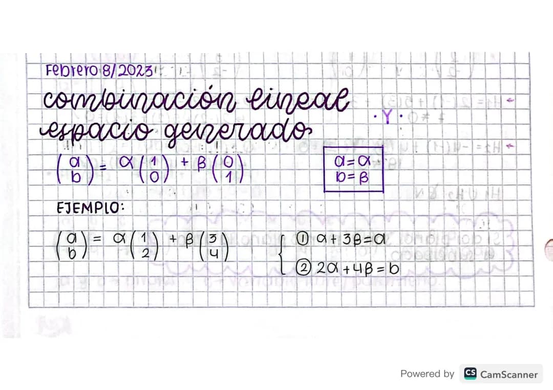 Matemáticas grado 11 - Combinación Lineal