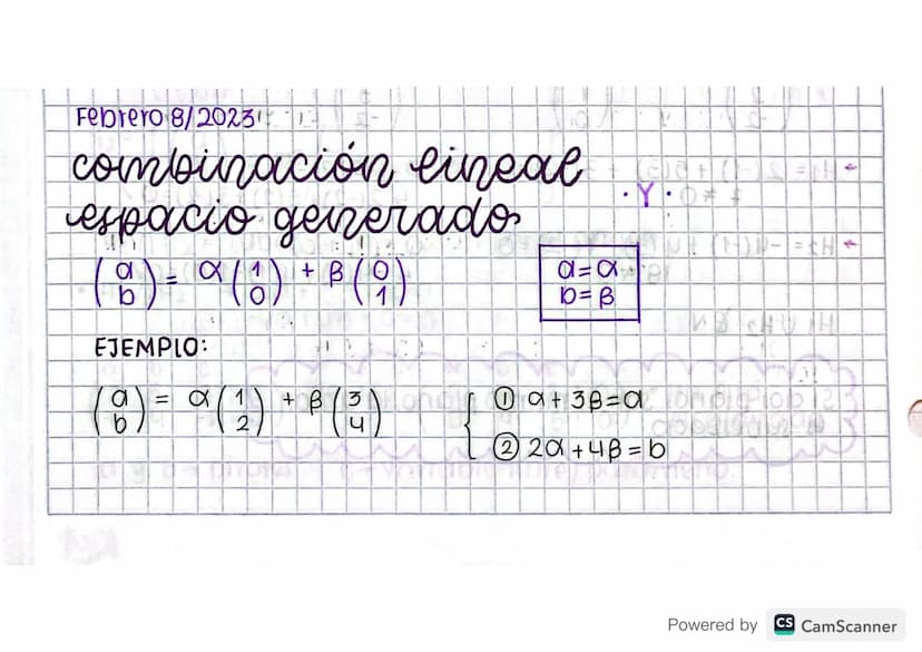 "
←
H
Febrero
Febrero 8/2023)
combinación lineal
espacio generado
ΟΙ
a
( 8 ) - α ( 1 ) + B ( 9 )
b
EJEMPLO:
B
(6)-° (2) +6 (3)
b
b=B
·
•
①+3