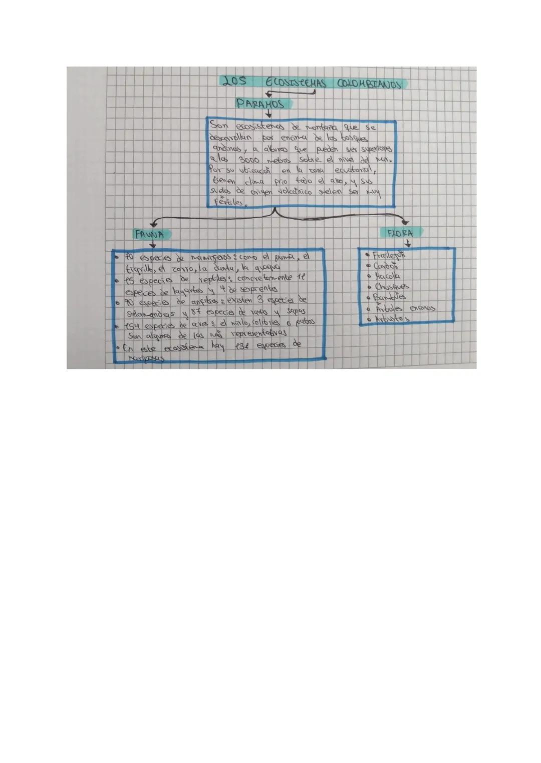 # 205 ECOSISTEMAS COLOMBIANOS

## PARAMOS

Son ecosistemes de montaña que se
descnrollken por encima de los bosques
andinos, a alburas que p