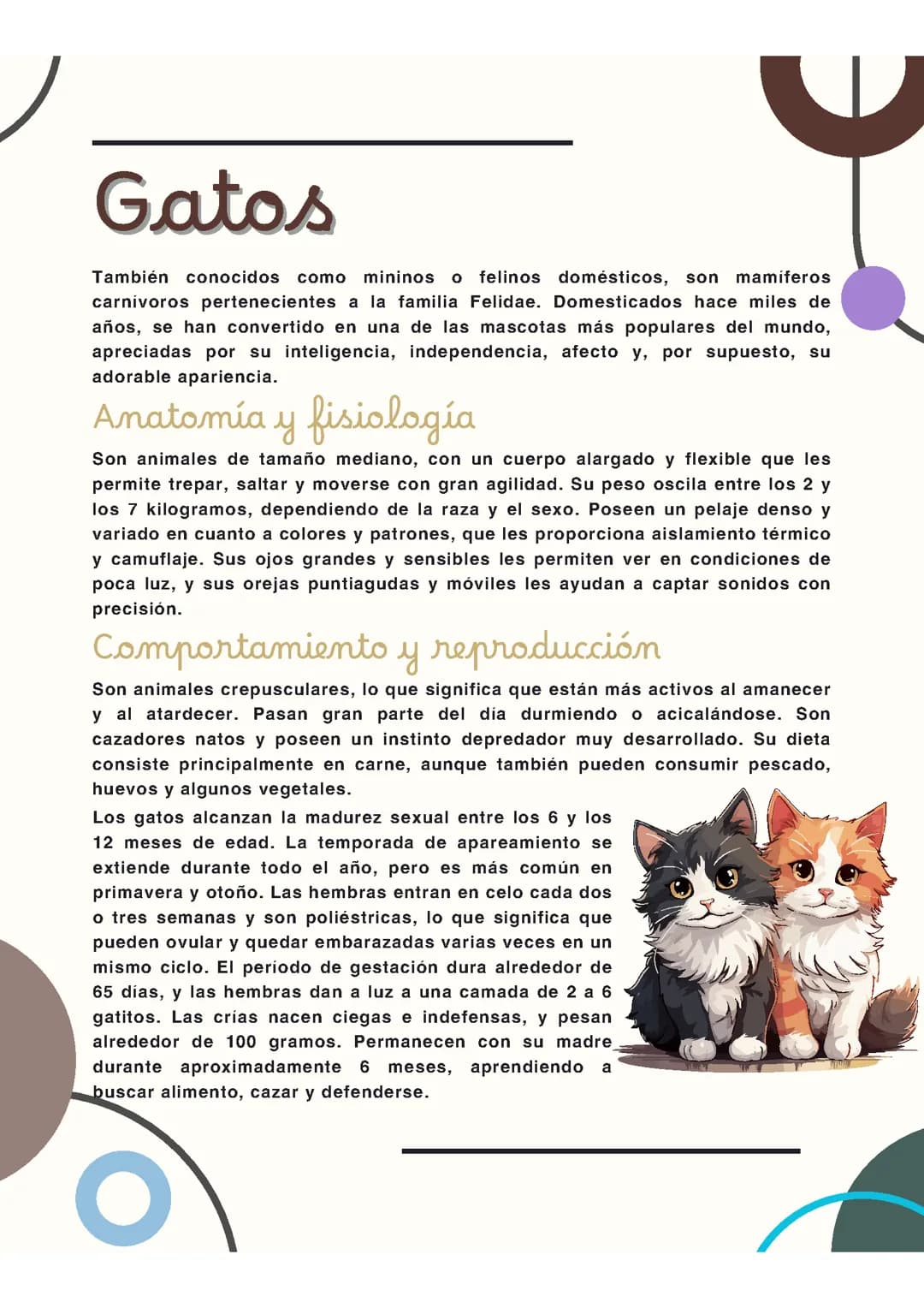 Gatos