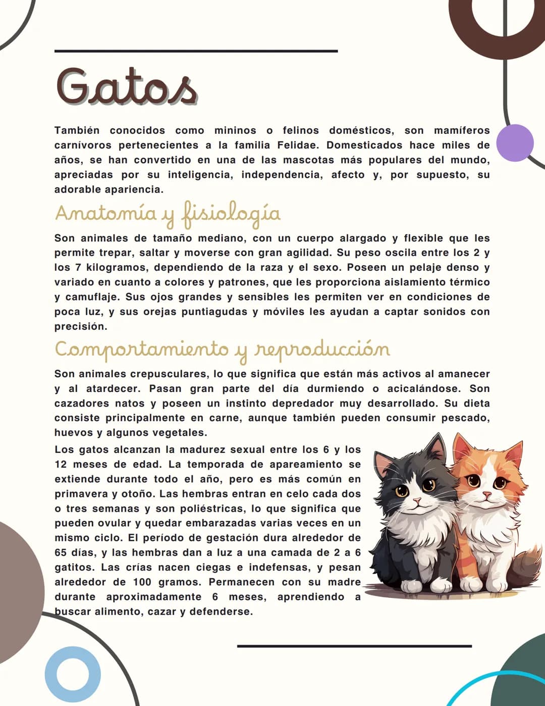 Gatos
También conocidos como mininos o felinos domésticos, son mamíferos
carnívoros pertenecientes a la familia Felidae. Domesticados hace m