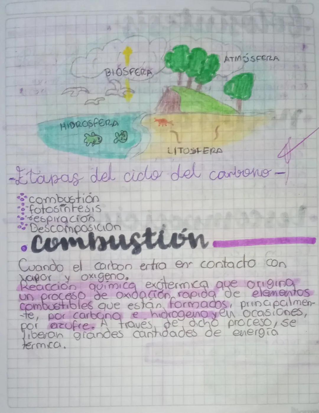 etapas
DEL CLO DEL
carbono
El carbono es un elemento presente en todos
seres VINOS y forma parte de los carbo
horatos, las proteinas y
-da c
