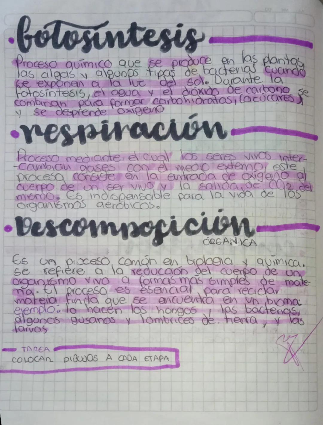 etapas
DEL CLO DEL
carbono
El carbono es un elemento presente en todos
seres VINOS y forma parte de los carbo
horatos, las proteinas y
-da c