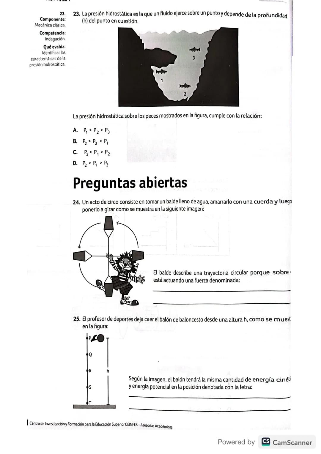 Estructura general de la prueba de Física
Mecánica clásica
Evalúa el carácter direccional
de algunas de las magnitudes
fisicas involucradas 