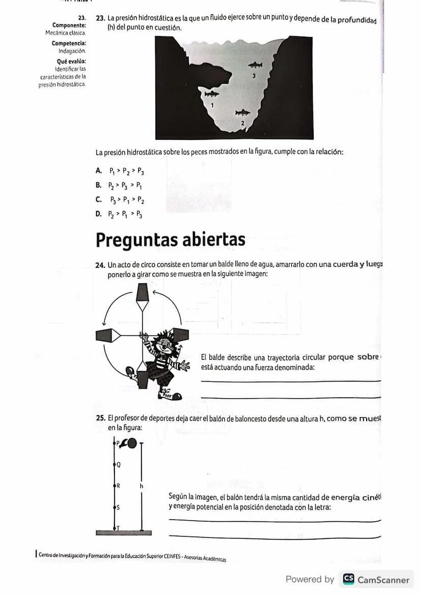 Estructura general de la prueba de Física
Mecánica clásica
Evalúa el carácter direccional
de algunas de las magnitudes
fisicas involucradas 