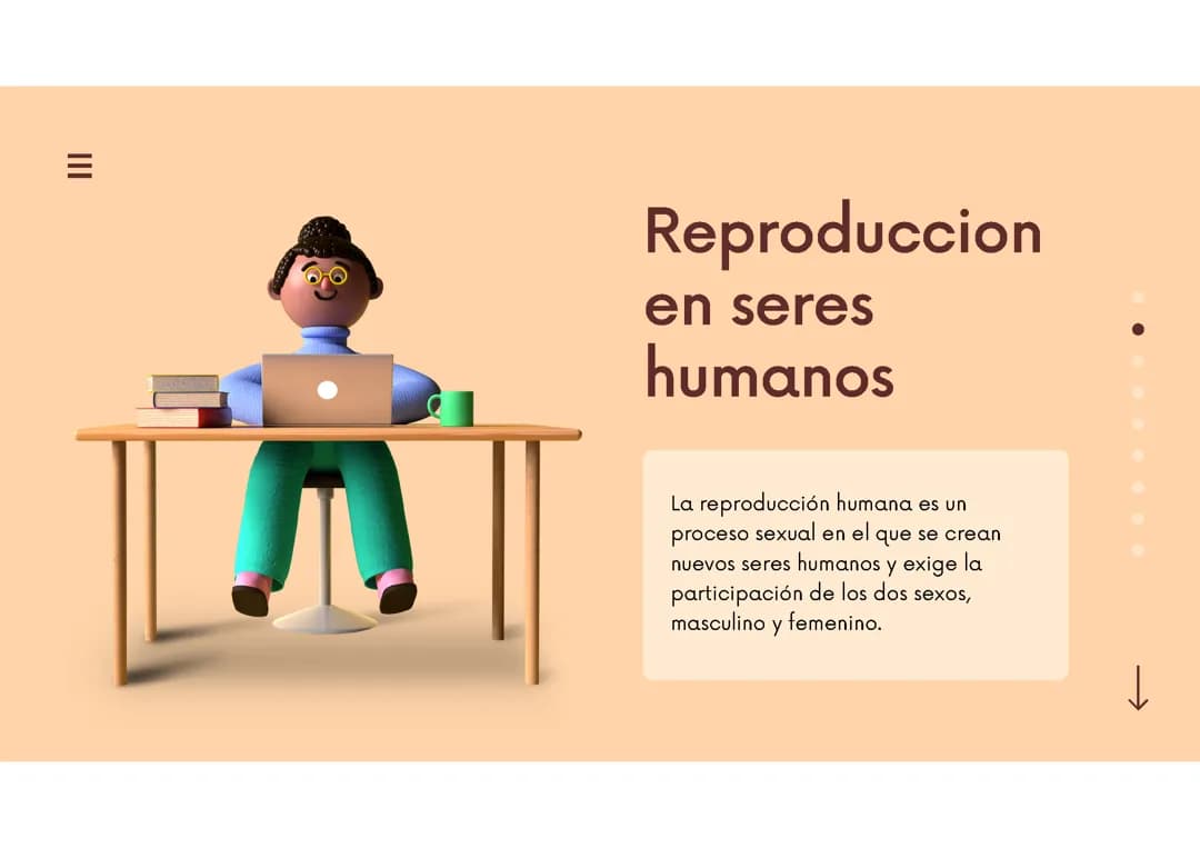 Reproducción seres humanos