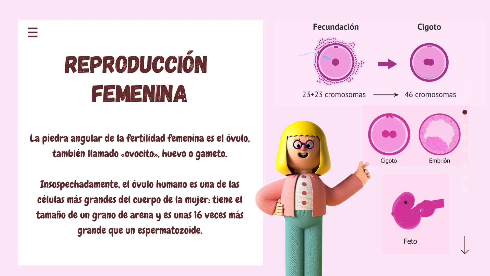 III
Reproduccion
en seres
humanos
La reproducción humana es un
proceso sexual en el que se crean
nuevos seres humanos y exige la
participaci