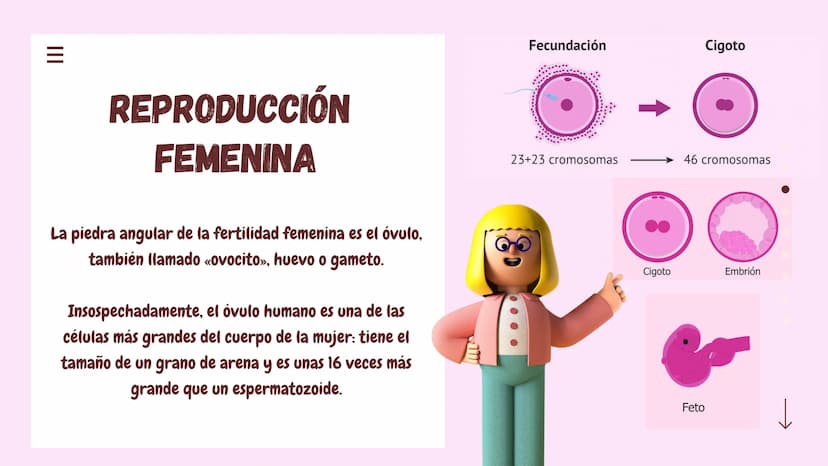 III
Reproduccion
en seres
humanos
La reproducción humana es un
proceso sexual en el que se crean
nuevos seres humanos y exige la
participaci