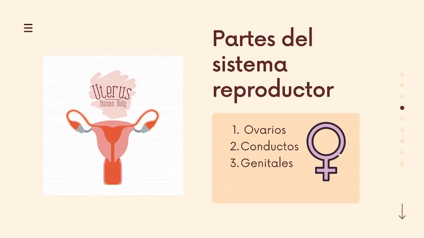 III
Reproduccion
en seres
humanos
La reproducción humana es un
proceso sexual en el que se crean
nuevos seres humanos y exige la
participaci