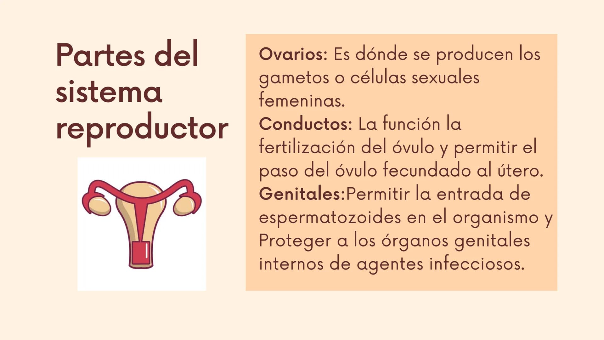 III
Reproduccion
en seres
humanos
La reproducción humana es un
proceso sexual en el que se crean
nuevos seres humanos y exige la
participaci