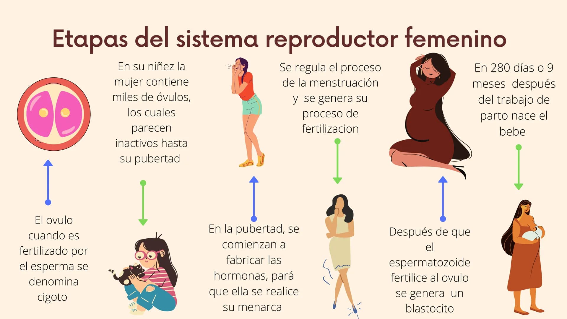 III
Reproduccion
en seres
humanos
La reproducción humana es un
proceso sexual en el que se crean
nuevos seres humanos y exige la
participaci