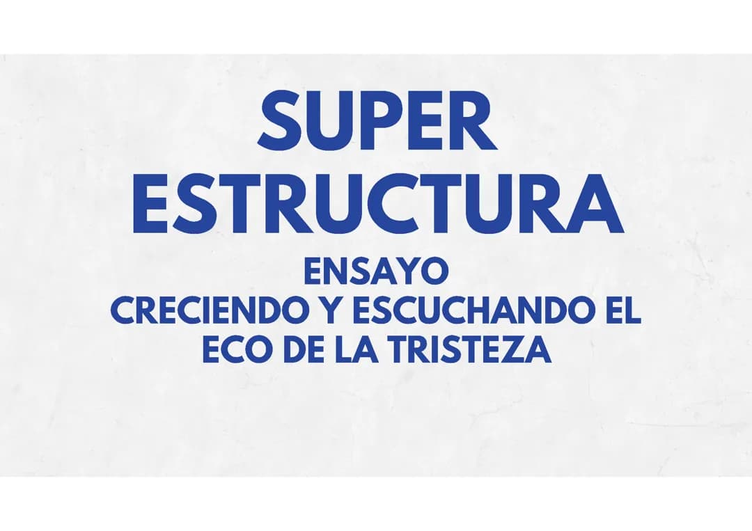Presentación estructura de un Ensayo