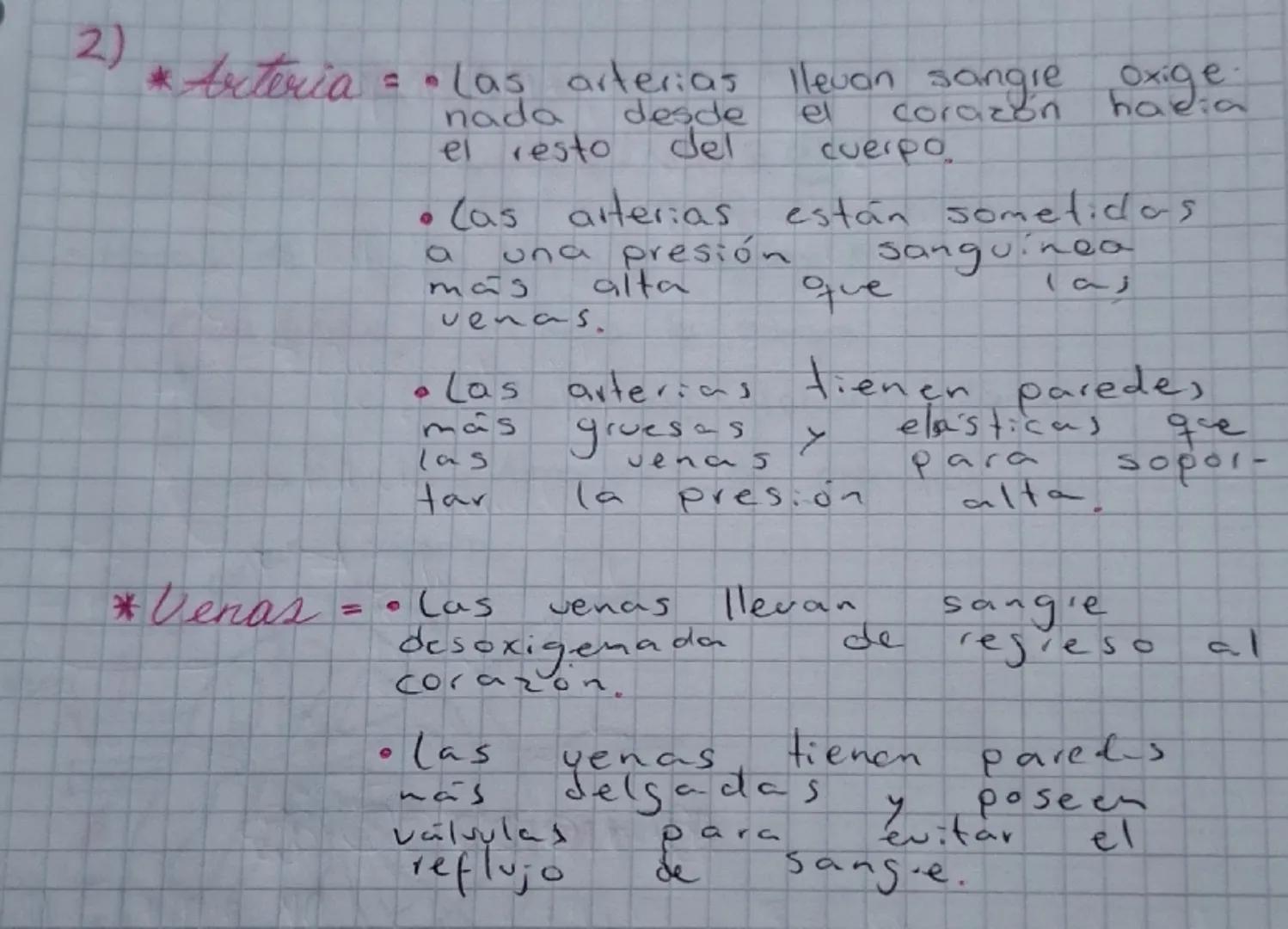 Secuencia 13 El sistema inmune
del ser humano
Biología
¿Cómo está conformado
el sistema inmune?
El sistema inmune protege al cuerpo ya que e