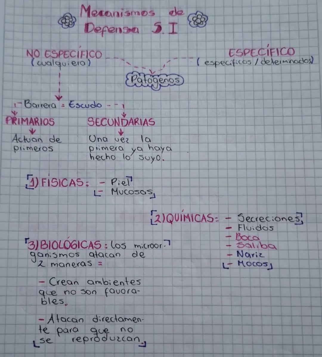 Secuencia 13 El sistema inmune
del ser humano
Biología
¿Cómo está conformado
el sistema inmune?
El sistema inmune protege al cuerpo ya que e