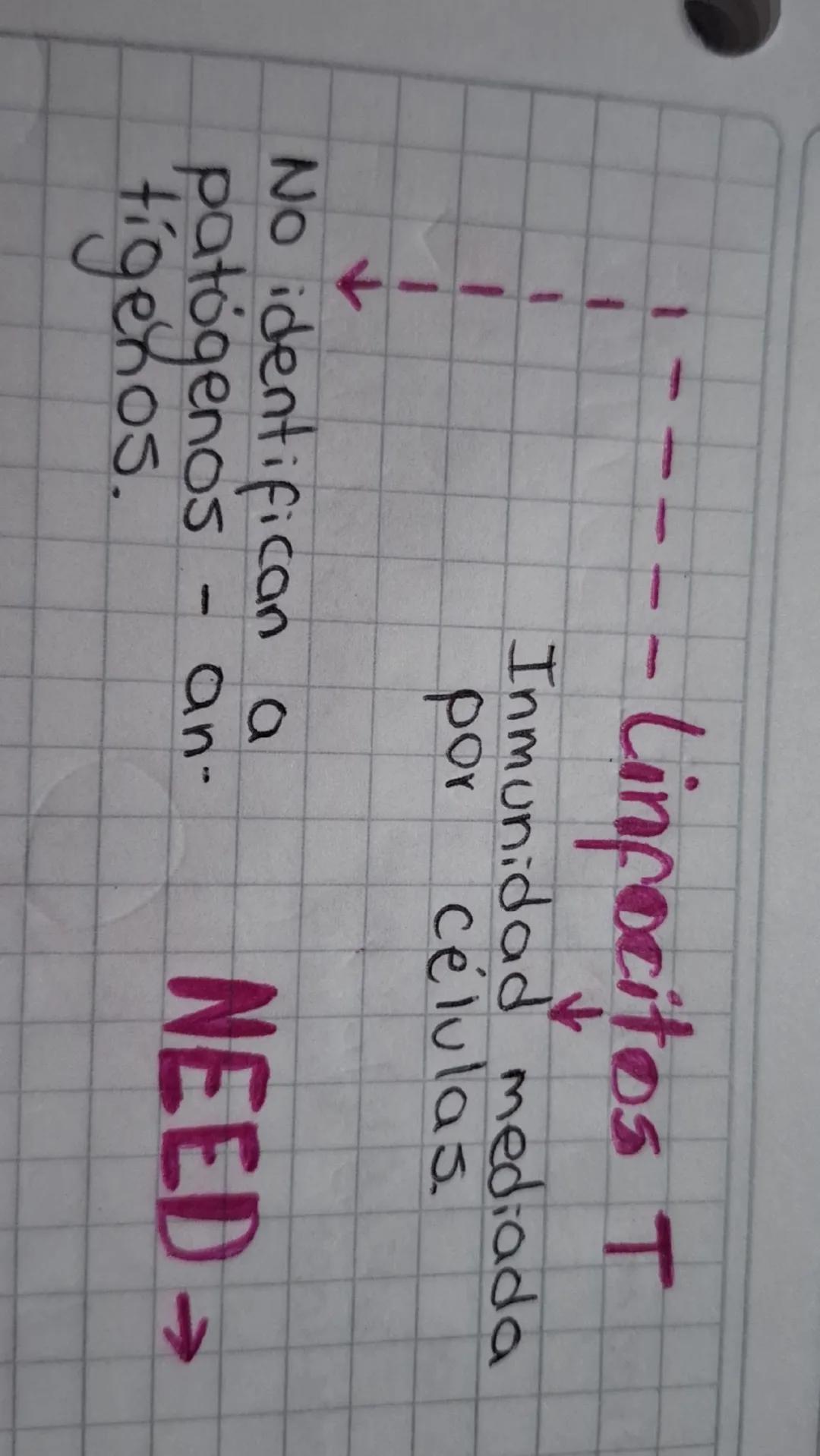 Secuencia 13 El sistema inmune
del ser humano
Biología
¿Cómo está conformado
el sistema inmune?
El sistema inmune protege al cuerpo ya que e