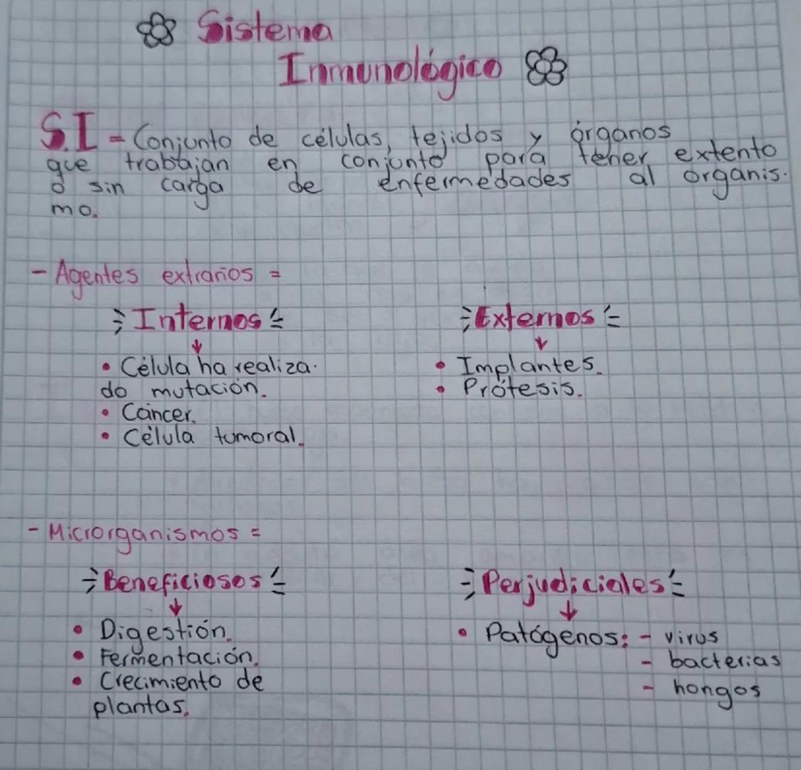 Secuencia 13 El sistema inmune
del ser humano
Biología
¿Cómo está conformado
el sistema inmune?
El sistema inmune protege al cuerpo ya que e